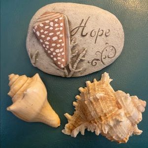 Hope rock and shells adding another shell